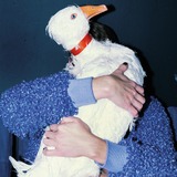 Abbildng: Platzhalter