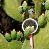 Abbildng: Platzhalter