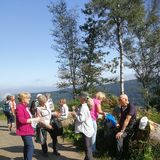 Abbildng: Platzhalter