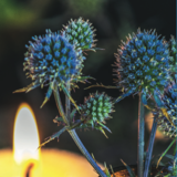 Abbildng: Platzhalter