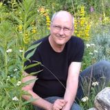 Abbildng: Platzhalter