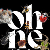 Abbildng: Platzhalter