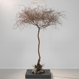 Abbildng: Platzhalter