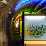 Abbildng: Platzhalter