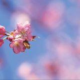 Abbildng: Platzhalter