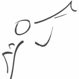 Abbildng: Platzhalter