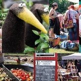Abbildng: Platzhalter